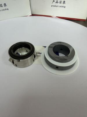John Crane 8b2 for Armstrong Pump Seal 4300 4302 and 4312 Seal ST Seal Mecânico