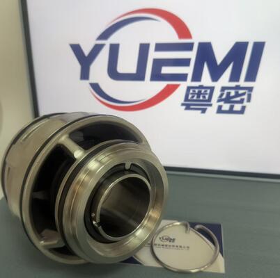 GLF-43 mm 98119099 for Se SL Pump GLF Cartridge Mechanical Seal for Sewage Pumps